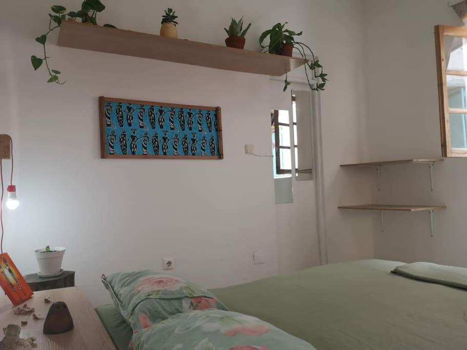 Ferienwohnung Old House Tarrafal  Exterior foto